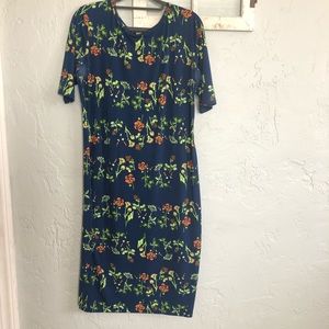 🏷 LuLaRoe Julia dress